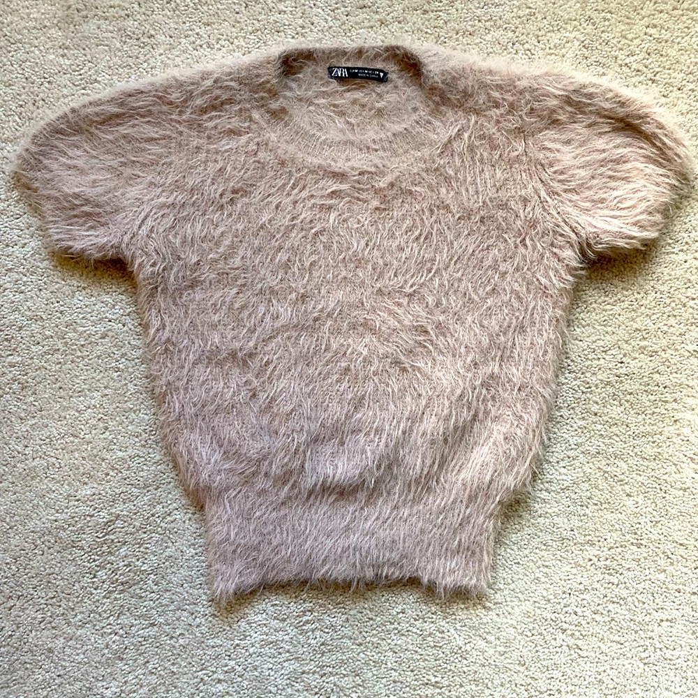 Fuzzy Zara Cropped top in medium